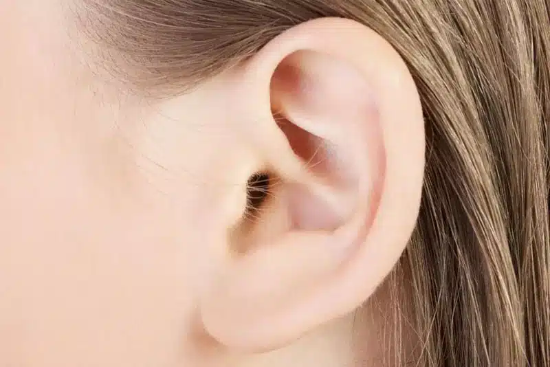 tratamento de orelha murcha